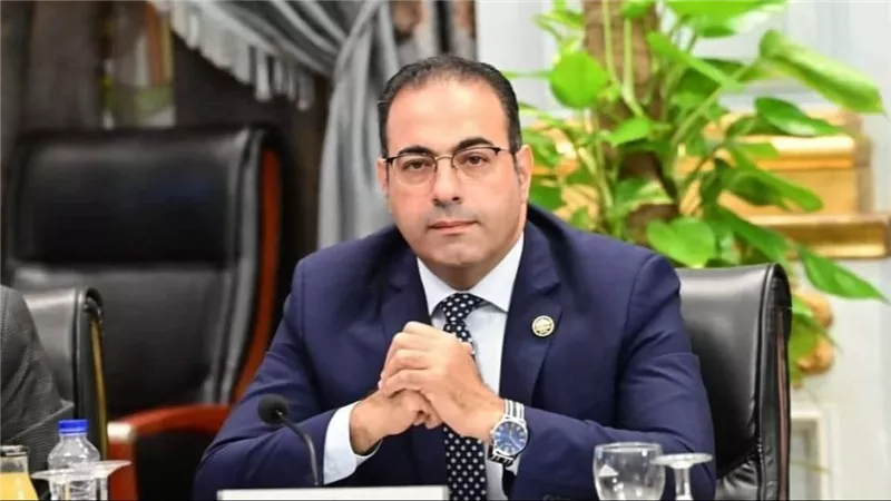 شباب المصريين بالخارج يثمن إقبال الجاليات المصرية على المشاركة في الانتخابات