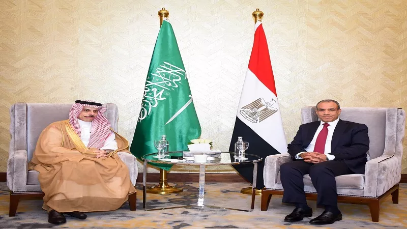 حسن سلامة: الشراكة المصرية السعودية ركيزة للأمن القومي العربي| فيديو