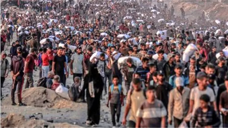 مقررة أممية: ما يحدث في غزة لم يشهد له التاريخ الحديث مثيلًا