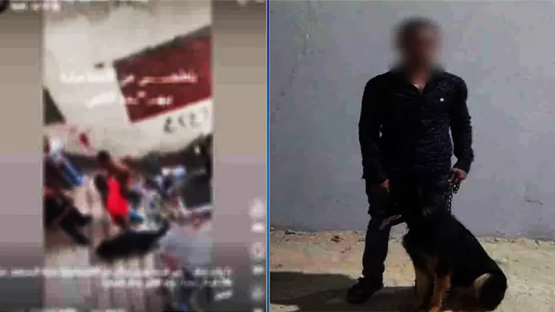 بلطجي الإسماعيلية وكلبه.. فيديو صادم يكشف ترويع المواطنين وضبط الجاني