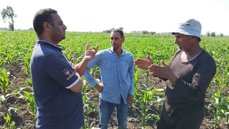 فخري منصور: خطة متكاملة لتحقيق الأمن الغذائي ومواجهة أزمة الأسمدة بكفر الشيخ