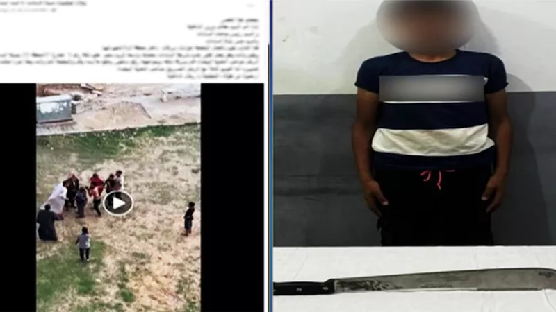 فيديو صادم لبلطجة بالسلاح في المنوفية.. والمتهم: خلافات جيرة وراء الواقعة