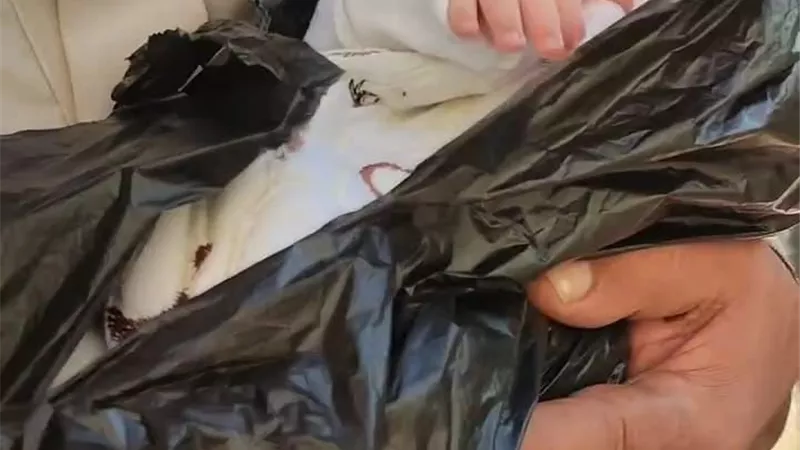 القبض علي سيدة ورجل ألقوا طفل رضيع في القمامة بالمعمورة في الإسكندرية 