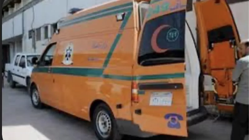 مشادة كلامية تنتهى بكارثة..إصابة شخص بطعنه فى الصدر بالدقهلية