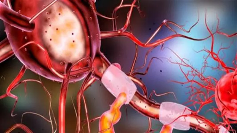 العثور علي تركيبة غامضة داخل الخلايا البشرية .. اكتشاف يحير العلماء 