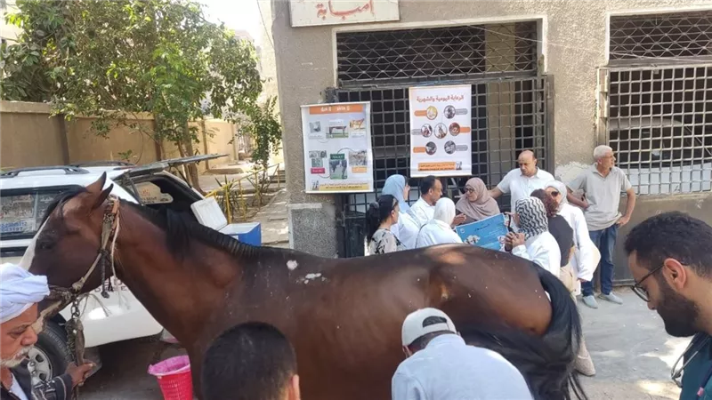 «الخدمات البيطرية» تنفذ حزمة أنشطة تدريبية بالتعاون مع مستشفى بروك الخيري