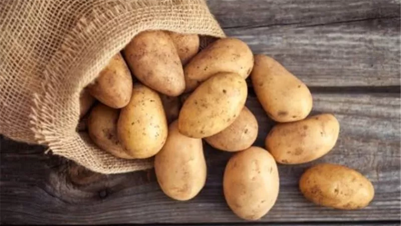 ارتفاع طفيف في أسعار البطاطس وسط تطمينات بانخفاض مرتقب مع طرح العروة الجديدة