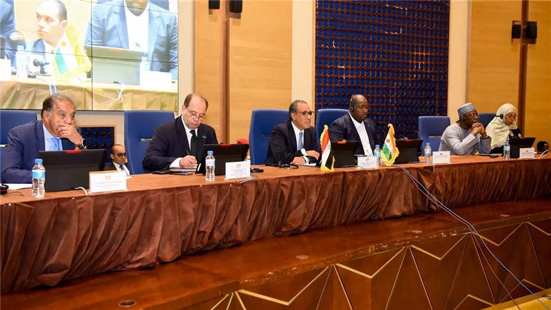 وزير الخارجية يقتتح منتدى الأعمال المصري النيجري الأول