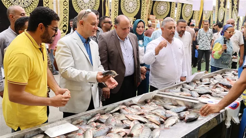 تصل لـ  40% .. انطلاق النسخة الخامسة من مبادرة تخفيض الأسماك بالتل الكبير