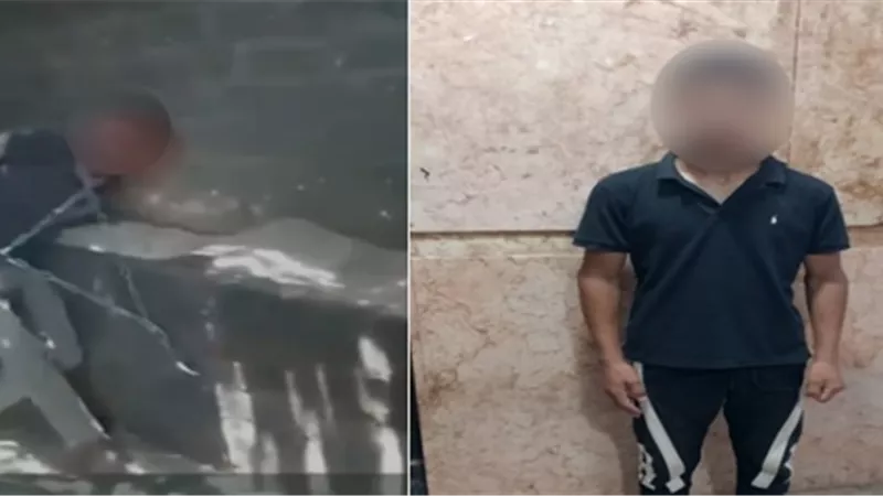 جريمة صادمة بالشرقية.. ضبط متهم بالاعتداء بالصعق الكهربائي على عامل بحظيرة