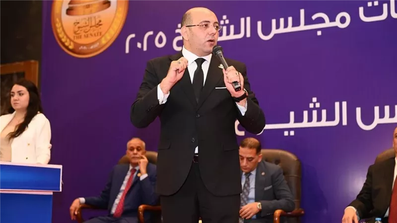 أمين تنظيم حماة الوطن: نخوض انتخابات النواب بـ50 مرشحا بالقائمة و 80 للفردي 