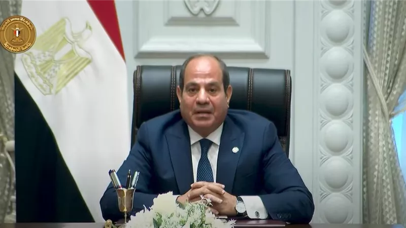 صلاح عبد العاطي: الرئيس السيسي يُحمّل المجتمع الدولي مسؤولية معاناة غزة |فيديو