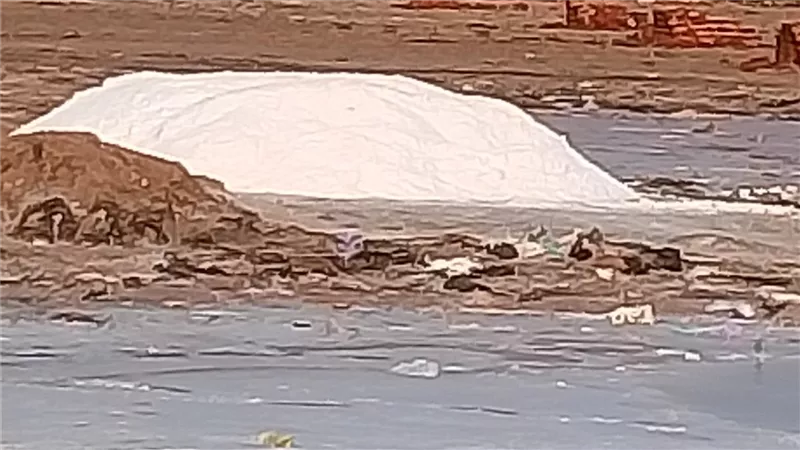 ملاحات دمياط.. كنوز بيضاء في قلب شطا تحمل الخير والصحة والرزق