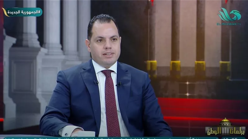 أحمد فوزي: ترشحي لمجلس الشيوخ نموذج لتمكين الشباب الحقيقي في عهد السيسي