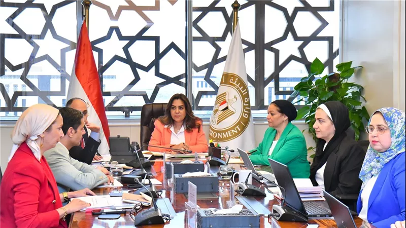 وزيرة التنمية تبحث الموقف الحالي للتعاون مع شركاء التنمية والمشروعات البيئية 