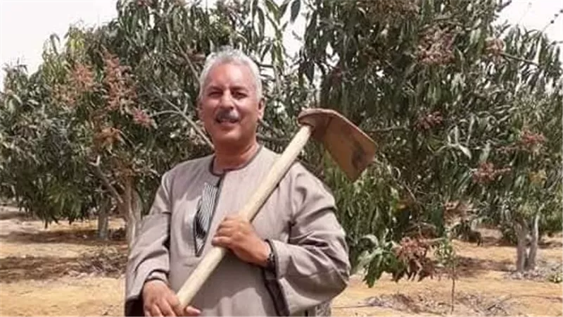 نقيب الفلاحين: ارتفاع توريد القمح المحلي لنحو 4 مليون طن حتي الآن 