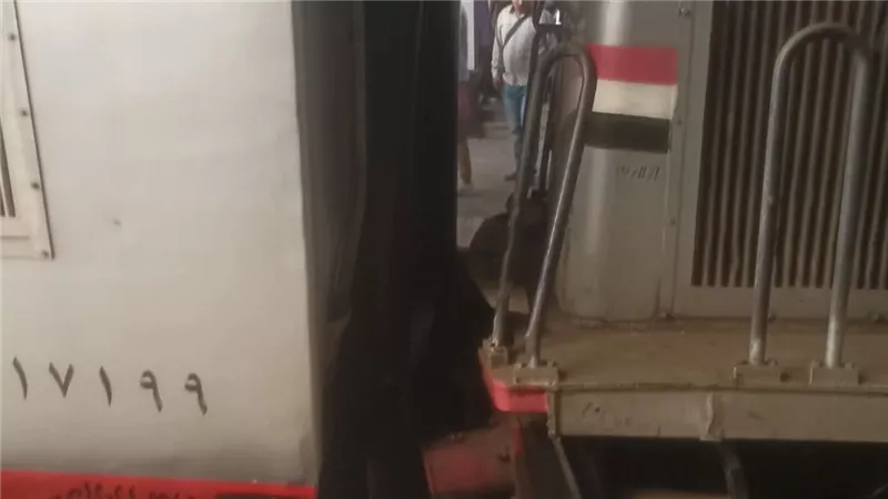 اصطدام قطار بالمصد الخرساني في محطة مصر برمسيس| صور 