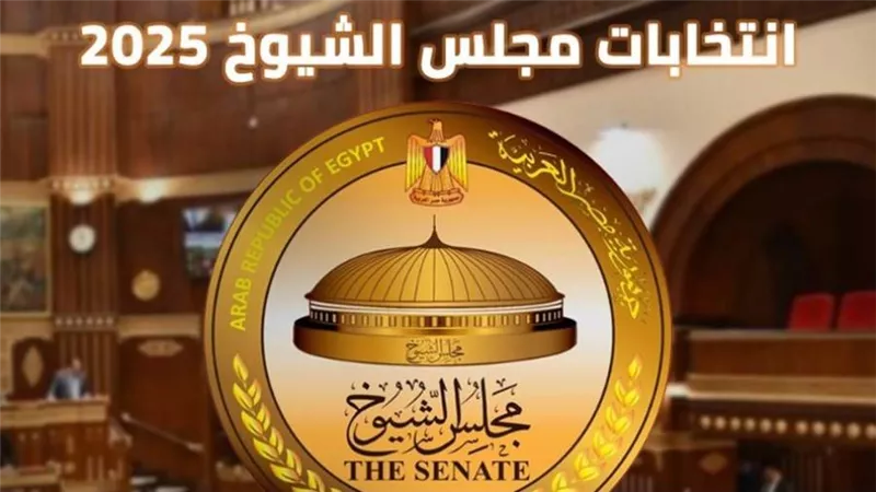 انتخابات المصريين في بيروت تتواصل لليوم الثاني وسط تنظيم محكم |فيديو