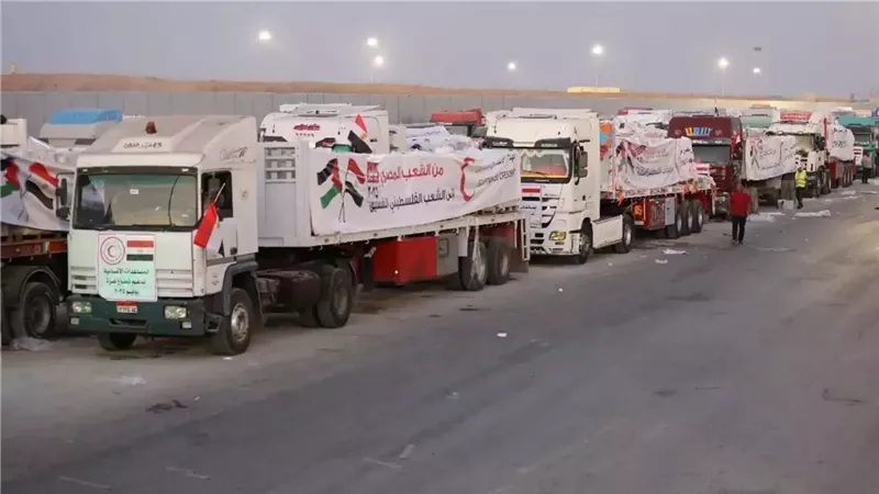 داليا أبوعمر: مصر تُحمّل أعباء القضايا الدولية رغم كل التحديات
