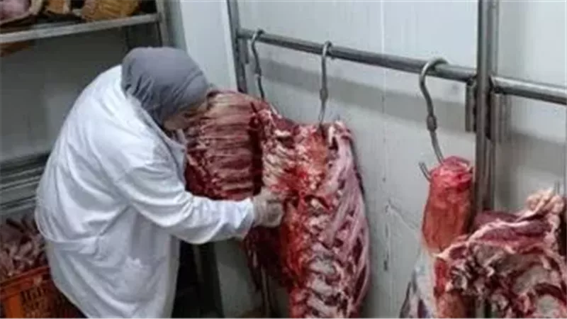 شعبة القصابين تكشف تحركات رقابية لوضع الجزارين المخالفين تحت مقصلة القانون|خاص