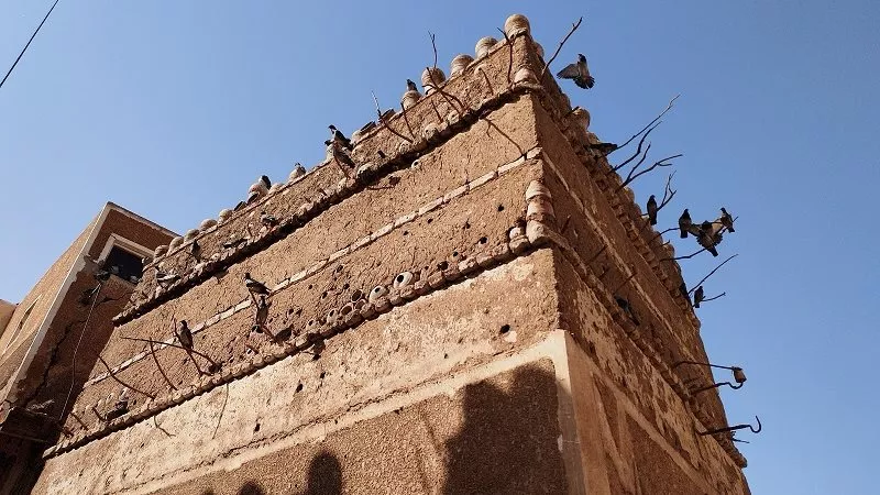  عمره 100عام.. 
