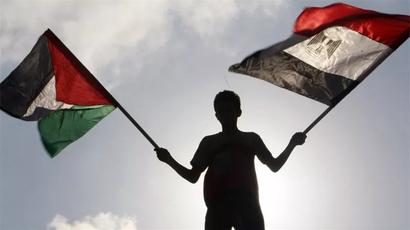 خبير: مصر تؤكد دعمها للفلسطينيين بحضور مدبولي بمؤتمر حل الدولتين