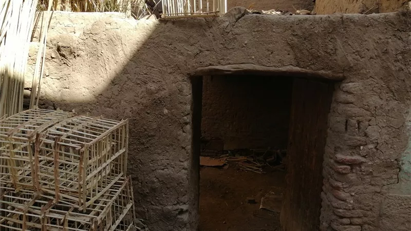 رحلة الموت بحثا عن الآثار.. البيوت القديمة تخطف الأرواح أمام المسؤولين بقنا