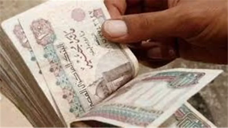 عاجل| رسميًا.. المالية تعلن موعد صرف مرتبات ديسمبر 2025