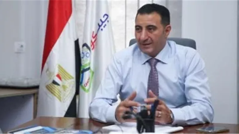 وكيل صناعة الشيوخ: الإقبال الكبير على الانتخابات يعكس وعي المصريين وانتماءهم 