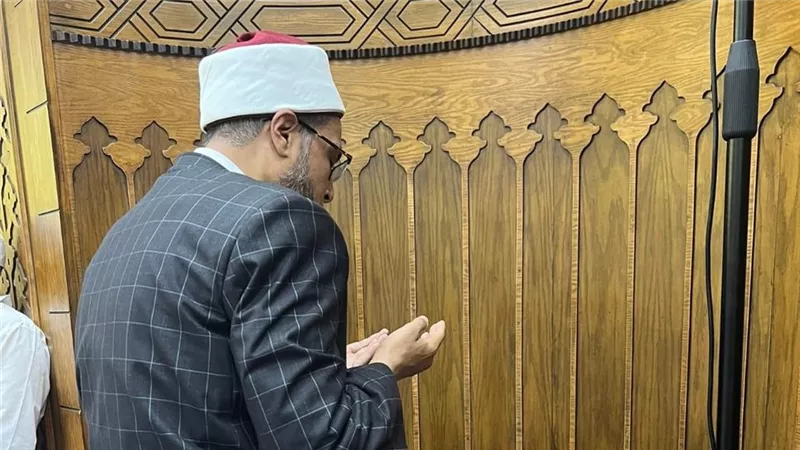 محمد أبو بكر: رويبضة 