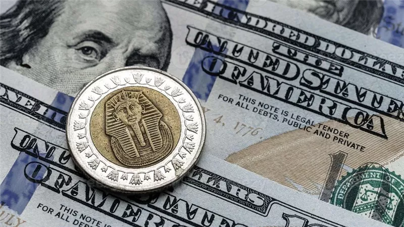 تحرك طفيف في سعر الدولار أمام الجنيه بالبنوك المصرية بداية التعاملات