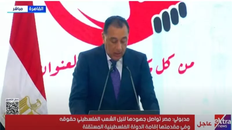 مصطفى مدبولي: الرئيس يوجه دائما بالدفاع عن حقوق أبناء مصر في الخارج