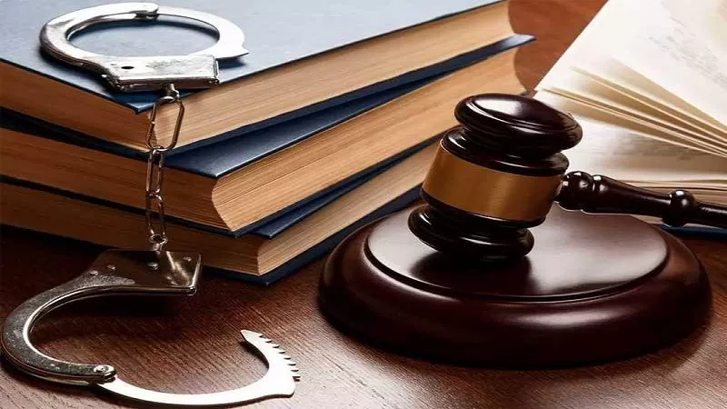 حرب الفوضى.. مصطفى سعداوي: مصر تحارب بذاءة التيك توك بعقوبات تصل إلى 15 سنة