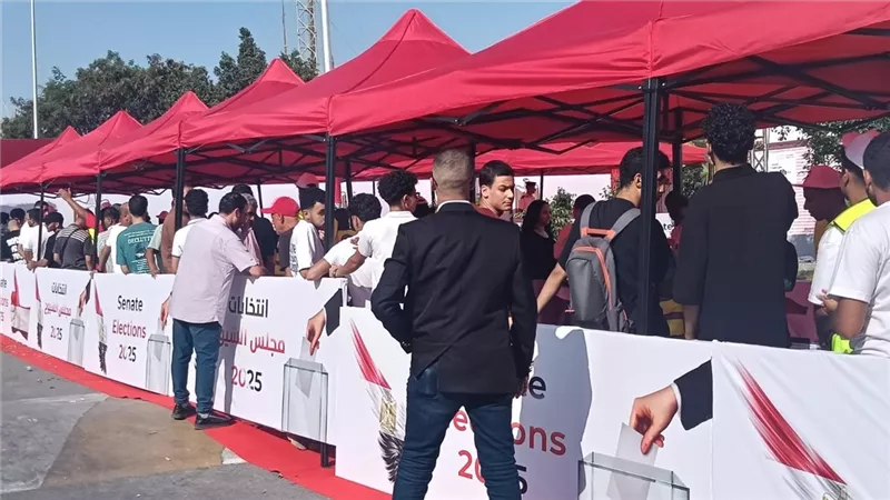 إقبال ملحوظ من الناخبين على لجان انتخابات مجلس الشيوخ 2025 بكفر الشيخ|فيديو 