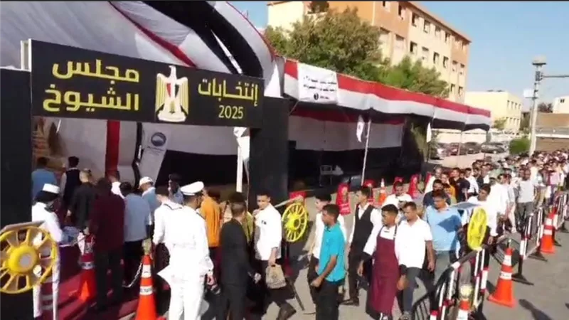 طوابير انتخابية في البحر الأحمر مع انطلاق التصويت في مجلس الشيوخ 2025