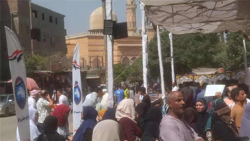 بسبب درجة الحرارة.. إقبال نسبي على انتخابات الشيوخ أمام اللجان بالمعصرة