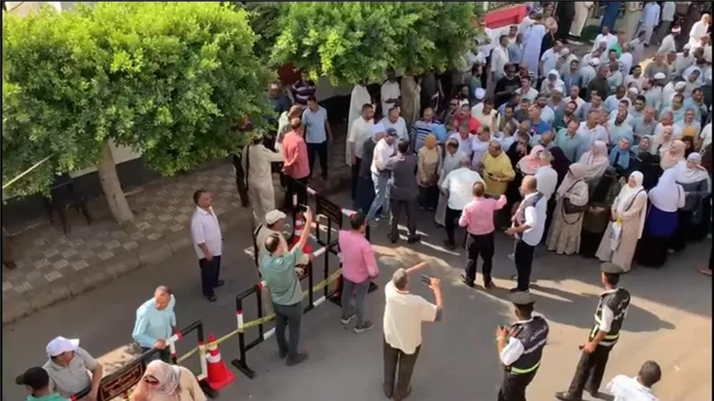 «حياة كريمة»: إقبال ملحوظ وتنظيم جيد داخل لجان انتخابات مجلس الشيوخ