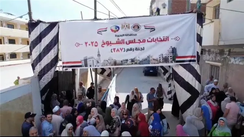 عادل السنهوري: إجراء الانتخابات رسالة للعالم باستقرار مصر وسط محيط ملتهب|فيديو