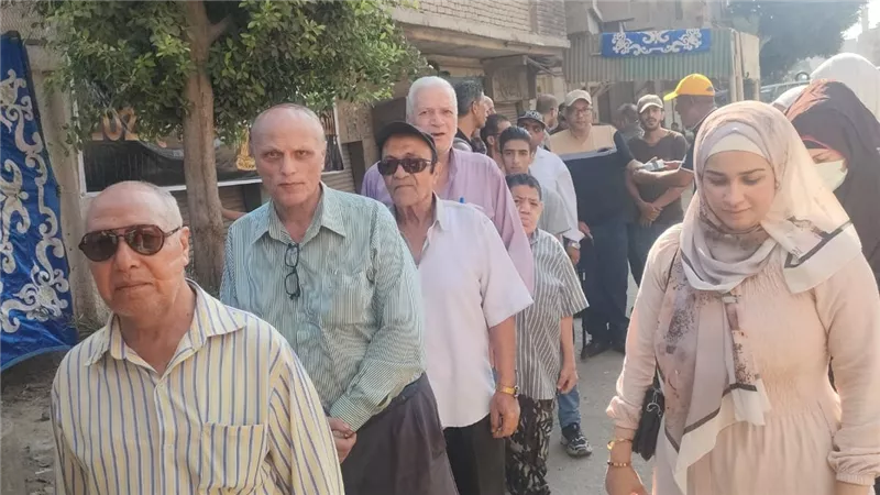 ثاني أيام انتخابات مجلس الشيوخ.. القليوبية تشهد إقبالاً متزايدًا من السيدات