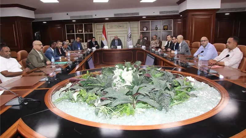 فصل التيار الكهربائي الأربعاء والخميس.. ومحافظ بني سويف يشرف على ختام التصويت