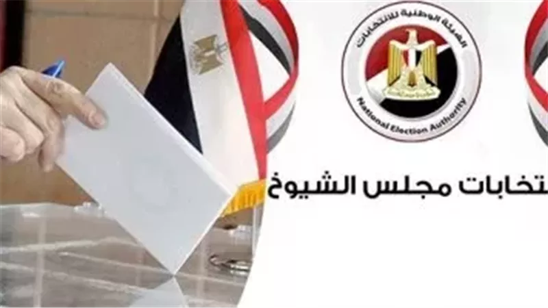منافسة قوية ومشاركة واسعة.. المنيا تعلن نتائج انتخابات مجلس الشيوخ 2025