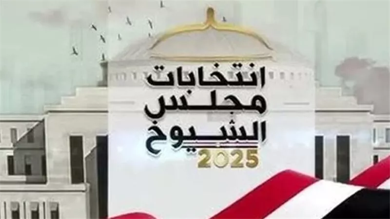 استمرار جولة إعادة انتخابات الشيوخ بمحافظة الغربية لليوم الثاني على التوالي