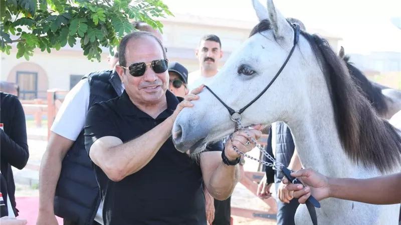 الرئيس السيسي يداعب الخيول بالأكاديمية العسكرية ويوجه رسائل عربية حاسمة