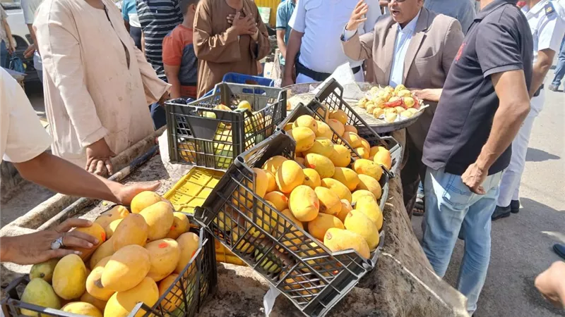 سكرتير مساعد سوهاج يقود حملة مكبرة لرفع الإشغالات بشوارع مدينة ناصر| صور