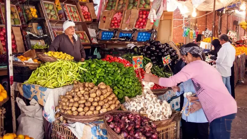 أسامة الشاهد: مبادرة خفض الأسعار تبدأ من الحكومة وتمتد للجميع |فيديو