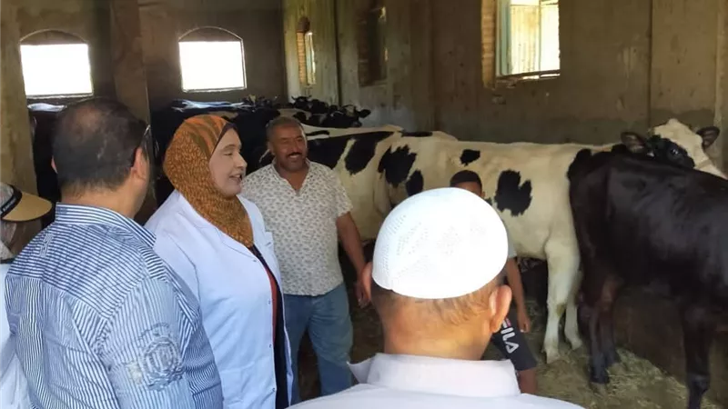 الخدمات البيطرية بالسويس تُكثف جهودها لحماية الصحة وتنمية الثروة الحيوانية