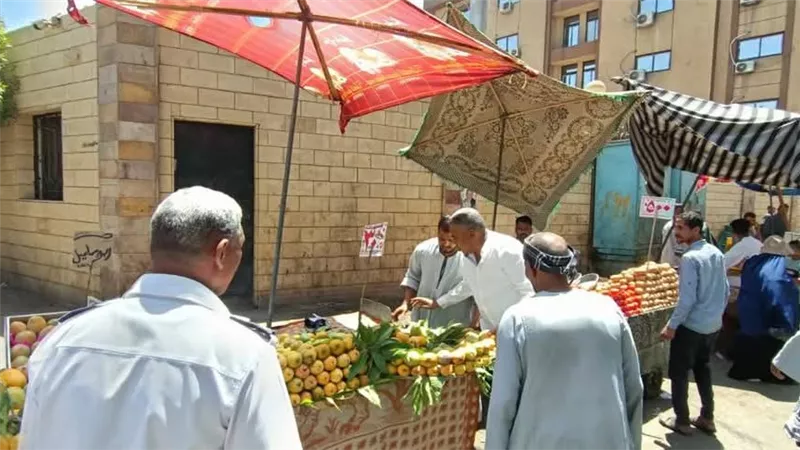 حملة اشغالات ومرافق مكبرة بشوارع نجع حمتدي في قنا| صور