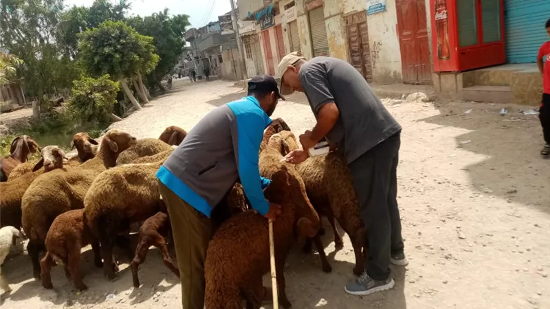 تقديم خدمات طبية متكاملة لـ 350 مواطنًا في قافلة مجانية بكوم القناطر بالبحيرة
