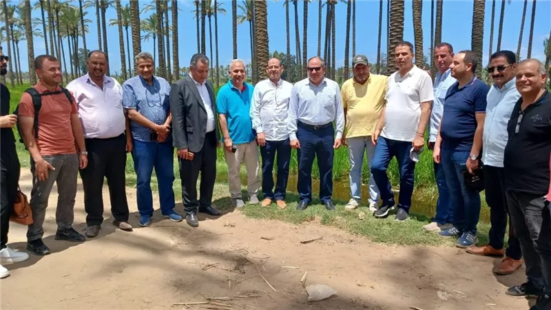 للحد من السحابة السوداء.. 