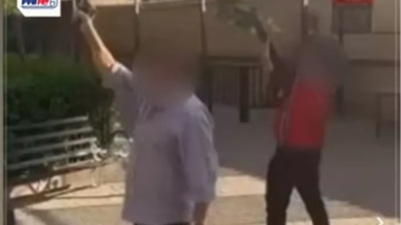 أطلقا الأعيرة النارية إحتفال بفوز مرشح لمجلس الشيوخ.. الداخلية تكشف التفاصيل 